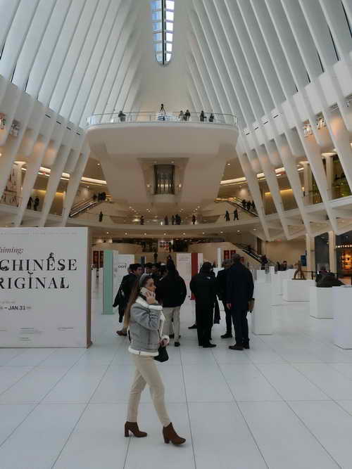 NYC_2020-01-29 13-33-38_P1080587